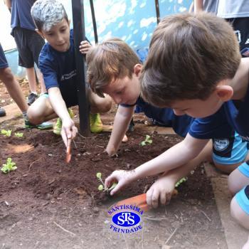 Alunos do 5º ano constroem horta 