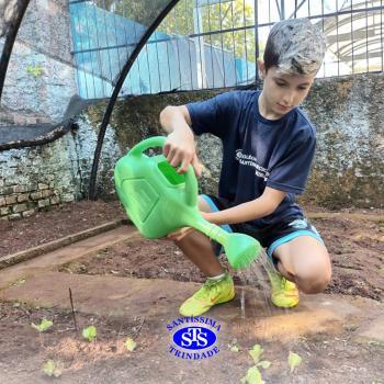Alunos do 5º ano constroem horta 