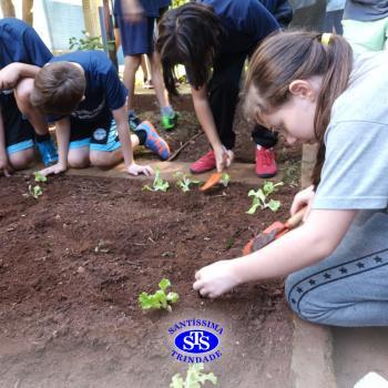 Alunos do 5º ano constroem horta 