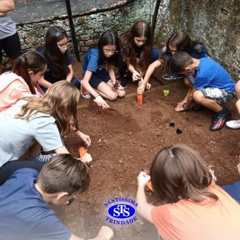 Alunos do 5º ano constroem horta 