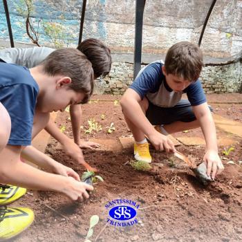 Alunos do 5º ano constroem horta 