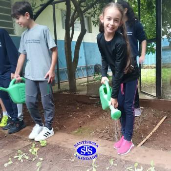 Alunos do 5º ano constroem horta 