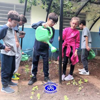 Alunos do 5º ano constroem horta 