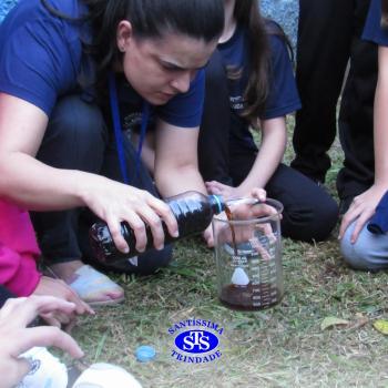 Alunos do 5º ano constroem horta 