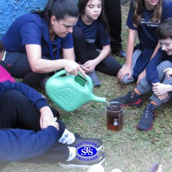 Alunos do 5º ano constroem horta 