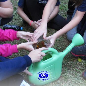 Alunos do 5º ano constroem horta 