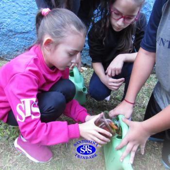 Alunos do 5º ano constroem horta 