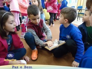 2º ano - Visita 