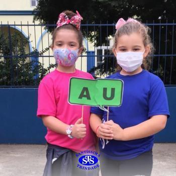 1º ano | Alfabetização 