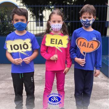 1º ano | Alfabetização 