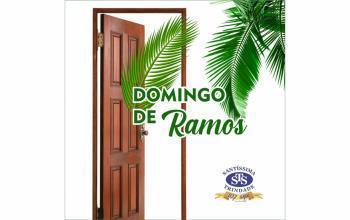 Domingo de Ramos 