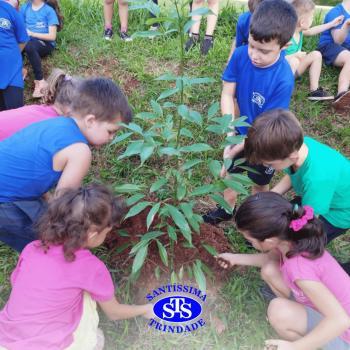 Alunos plantam árvore no Parque Franciscano para marcar os 110 anos do STS | Inf. 5