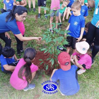 Alunos plantam árvore no Parque Franciscano para marcar os 110 anos do STS | Inf. 5