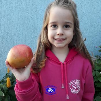 Infantil 4 realiza projeto sobre alimentação saudável