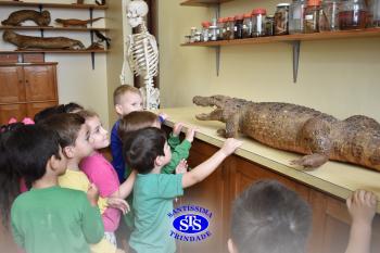 Alunos exploram o Laboratório de Ciências em sua primeira aula | Inf. 4