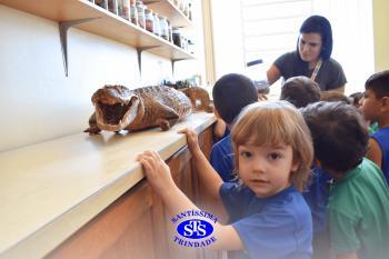 Alunos exploram o Laboratório de Ciências em sua primeira aula | Inf. 4