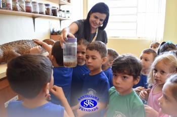 Alunos exploram o Laboratório de Ciências em sua primeira aula | Inf. 4