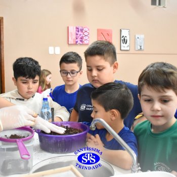 Estudantes do 3º ano fazem prática sobre solos no Laboratório de Ciências