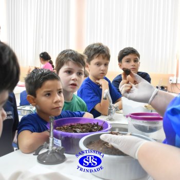 Estudantes do 3º ano fazem prática sobre solos no Laboratório de Ciências