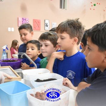 Estudantes do 3º ano fazem prática sobre solos no Laboratório de Ciências