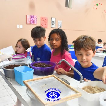 Estudantes do 3º ano fazem prática sobre solos no Laboratório de Ciências