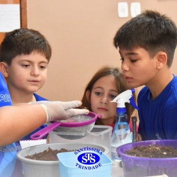 Estudantes do 3º ano fazem prática sobre solos no Laboratório de Ciências