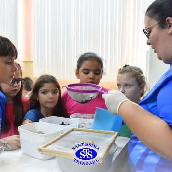 Estudantes do 3º ano fazem prática sobre solos no Laboratório de Ciências