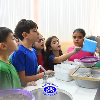 Estudantes do 3º ano fazem prática sobre solos no Laboratório de Ciências