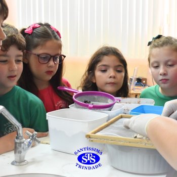 Estudantes do 3º ano fazem prática sobre solos no Laboratório de Ciências