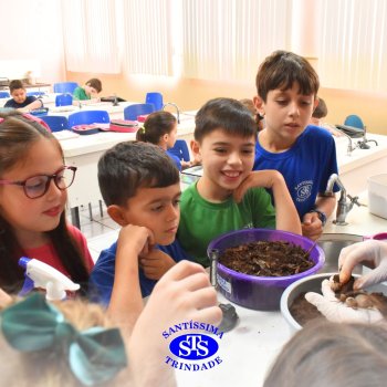 Estudantes do 3º ano fazem prática sobre solos no Laboratório de Ciências