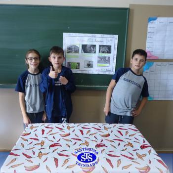 5º ano | Feira da Cultura Indígena 