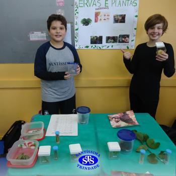 5º ano | Feira da Cultura Indígena 