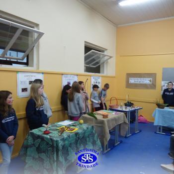 5º ano | Feira da Cultura Indígena 