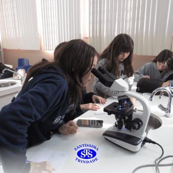 Prática com o microscópio para estudar o Sistema Locomotor | 6º ano