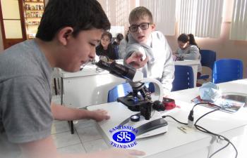 Prática com o microscópio para estudar o Sistema Locomotor | 6º ano