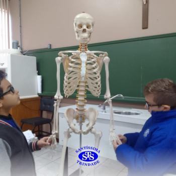 Alunos realizam atividades práticas sobre o corpo humano | 2º ano 