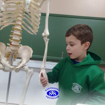 Alunos realizam atividades práticas sobre o corpo humano | 2º ano 