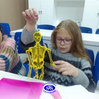 Alunos realizam atividades práticas sobre o corpo humano | 2º ano 