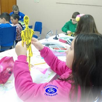 Alunos realizam atividades práticas sobre o corpo humano | 2º ano 