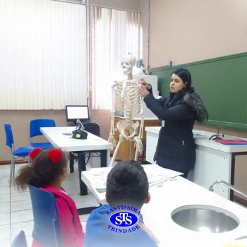 Alunos realizam atividades práticas sobre o corpo humano | 2º ano 