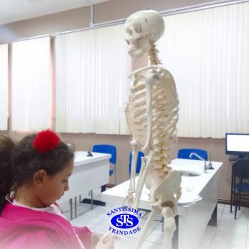 Alunos realizam atividades práticas sobre o corpo humano | 2º ano 
