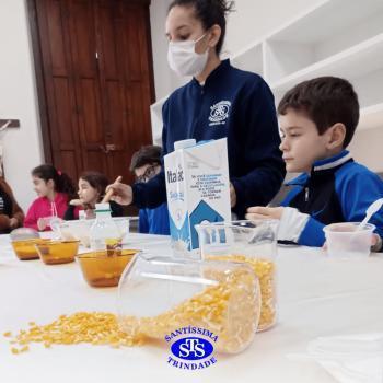 3º ano | Aula sobre alimentos 