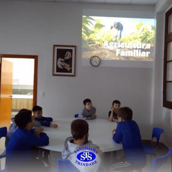 3º ano | Aula sobre alimentos 