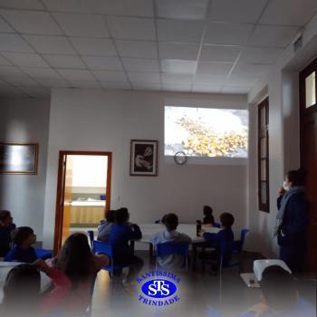 3º ano | Aula sobre alimentos 