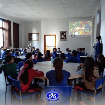 3º ano | Aula sobre alimentos 