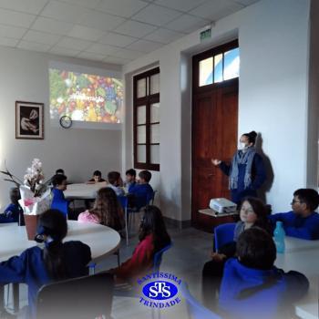 3º ano | Aula sobre alimentos 