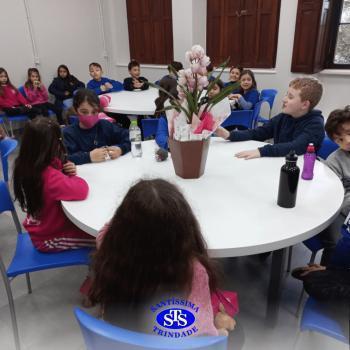 3º ano | Aula sobre alimentos 