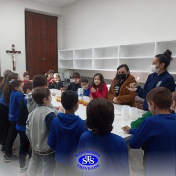 3º ano | Aula sobre alimentos 