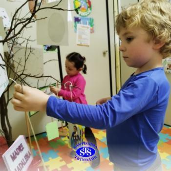Alunos constroem Árvore das Vivências com memórias | Infantil 3
