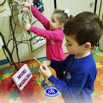 Alunos constroem Árvore das Vivências com memórias | Infantil 3